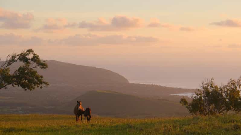 Terevaka Mount: Morning Horseback Riding & Planting Tour - Starting at Adventure Terevaka’s Ranch