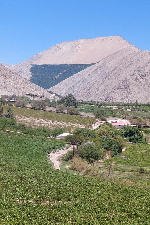 The Magnificient Elqui Valley Grand Tour - El Tambo and the valley’s agricultural traditions