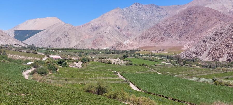 The Magnificient Elqui Valley Grand Tour - From La Serena to Paihuano and Vicuña