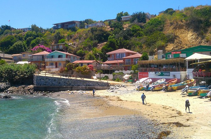 The Poets’ Coastline & the Picturesque Fishing Village of Quintay - The open-air museum in Valparaíso