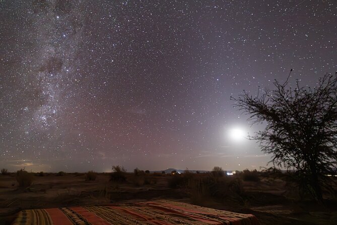 The Roofless Experience San Pedro de Atacama Stargazing Tour - Who will enjoy this most?