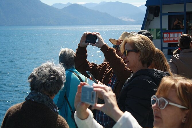 Todos los Santos Lake and Villa Peulla Tour - Sailing across the emerald waters of Lake Todos los Santos