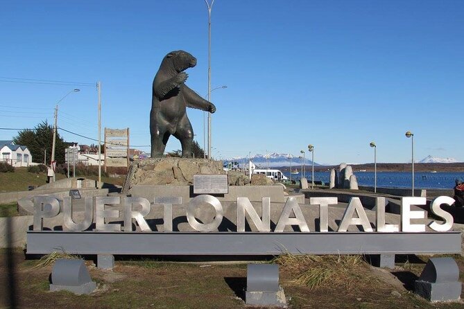 Torres Del Paine and Milodon Cave Full Day Tour - What this full-day tour really involves