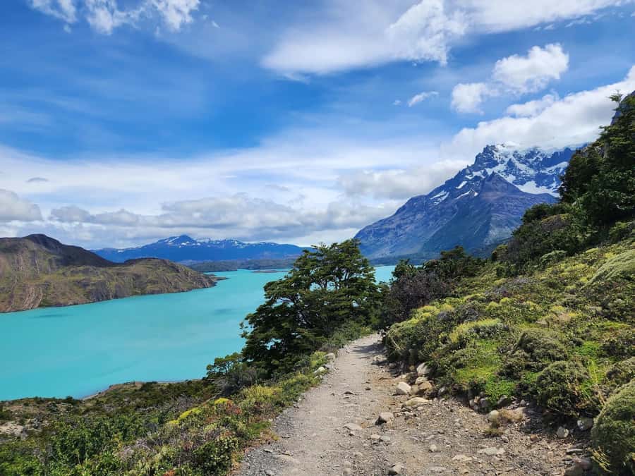 Torres del Paine: Base Torres Trekking - A greener stretch, a stream, and Martina Glacier