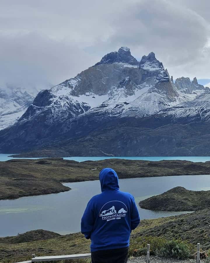 Torres del Paine: Full Day Excursion Torres del Paine + Milodon Cave. - Starting in Puerto Natales at 7:30
