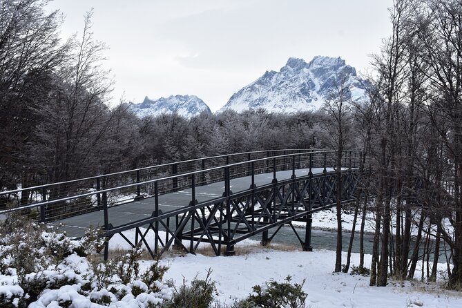 Torres del Paine Full Day Private Couples, families and/or friends. - Walking to Grey Lake and the glacier view