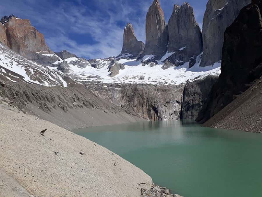 Torres del Paine: Full-Day Trekking Excursion - Key points before you book