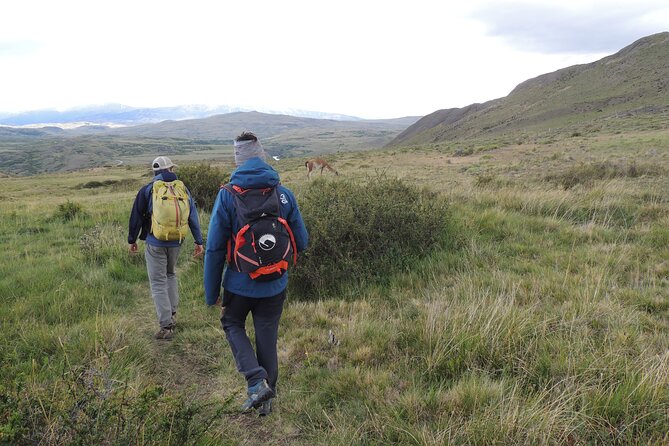 Torres del Paine Highlights Hiking Tour from Puerto Natales - The early drive from Puerto Natales to Laguna Amarga
