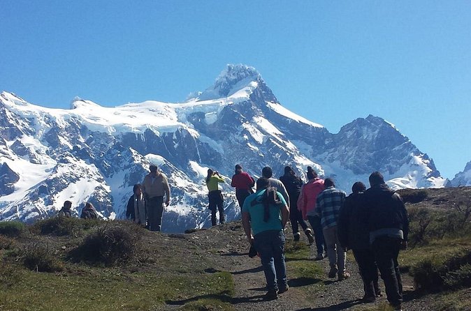 Torres del Paine Tour from Punta Arenas - Wildlife adds more than a photo stop