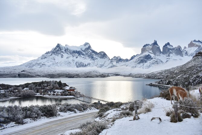 Torres del Paine Winter Private 4 nights and 3 days Tour. - Day one: the park’s classic viewpoints by road and trail