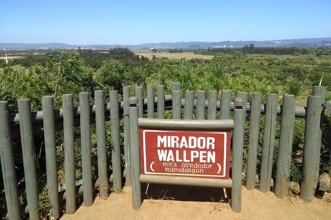 Tour around Biobío River Estuary & Pedro del Río Zañartu Museum - Why this Concepción tour works so well