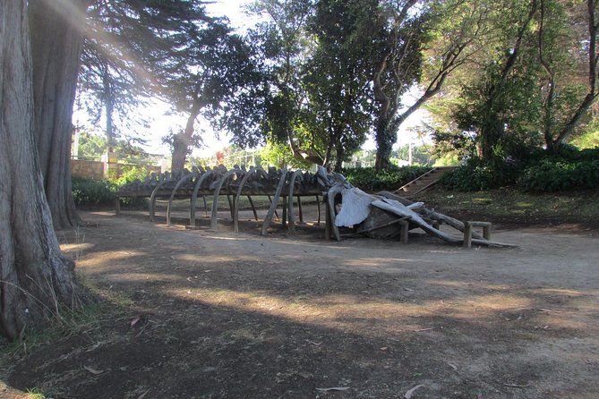 Tour around Biobío River Estuary & Pedro del Río Zañartu Museum - Seeing where the Biobío reaches the sea