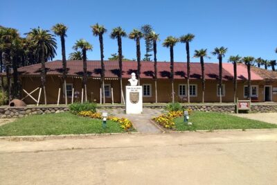 Tour around Biobío River Estuary & Pedro del Río Zañartu Museum