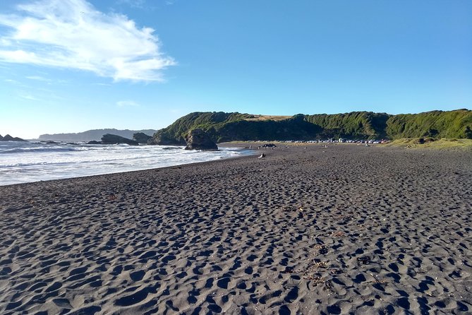 Tour around Biobío River Estuary & Pedro del Río Zañartu Museum - Is $25.65 a fair price?