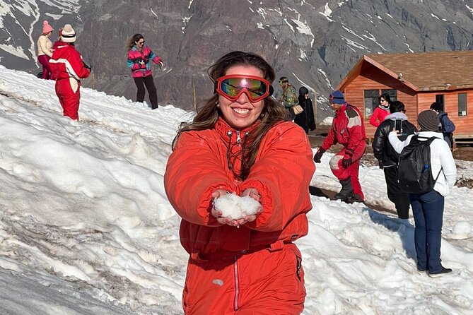 Tour from Santiago 1 day in Farellones and Panoramic Nevado Valley - The guide and driver can shape the experience