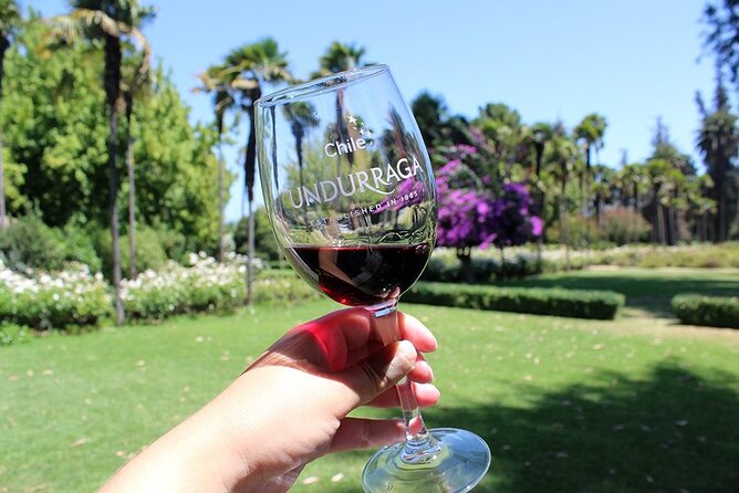 Tour Isla Negra, San Alfonso del Mar + Undurraga - Who Should Choose This Experience?