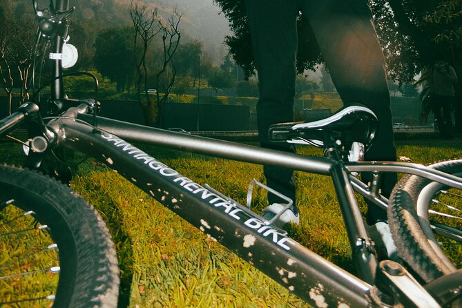 Tour of Santiago by Bicycle - Estadio Nacional and Santiago’s sporting life