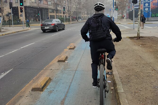 Tour of Santiago by Bicycle - Quinta Normal and the museum district