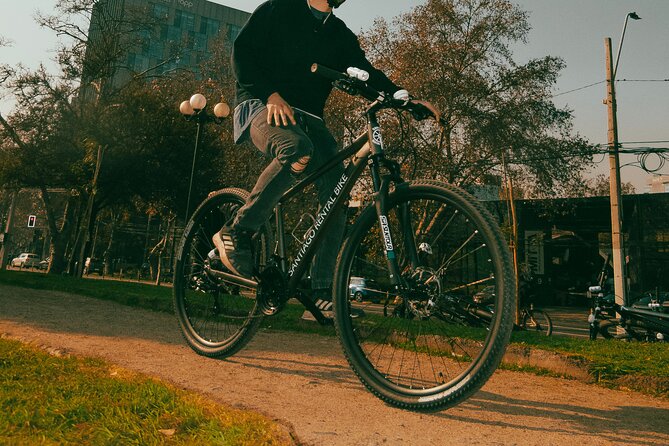Tour of Santiago by Bicycle - Parque O’Higgins and the city’s green space