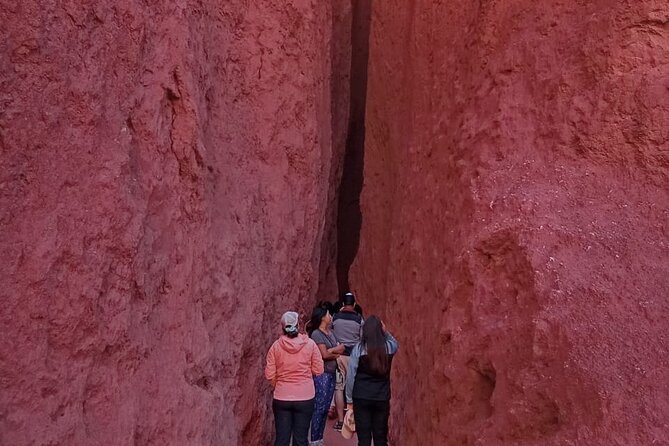 Tour of the Rainbow Valley and Petroglyphs of Yerbas Buenas - Transport, group size, and refreshments