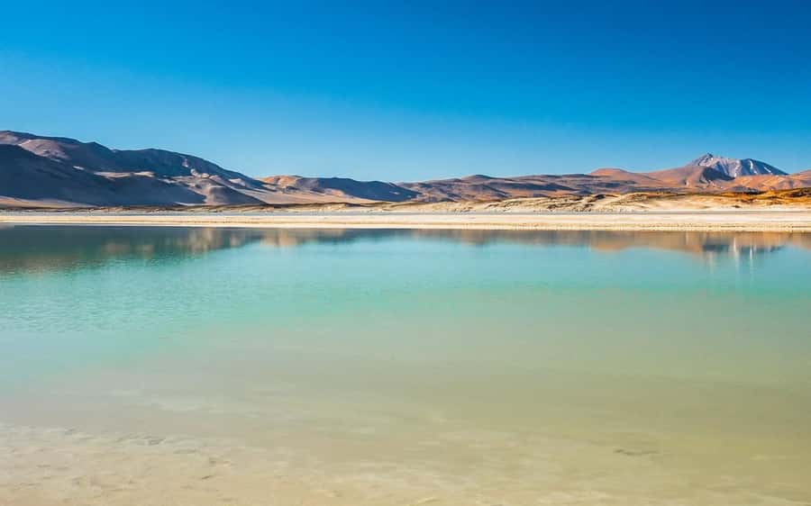 Tour Piedras Rojas + Altiplanic Lagoons + Chaxa Lagoon - Why this 11-hour route is worth your day