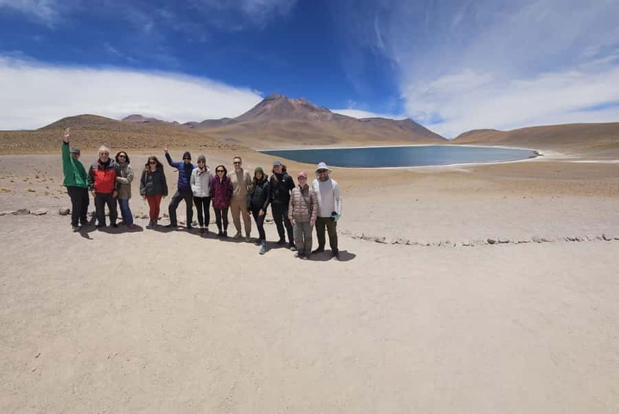 Tour Piedras Rojas + Altiplanic Lagoons + Chaxa Lagoon - Laguna Chaxa and the salt-flat wildlife