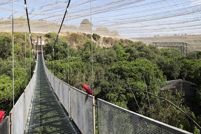 Tour to Parque Tricao + Aviario and Pomaire full day from Santiago - Leaving Santiago at 7:00 am