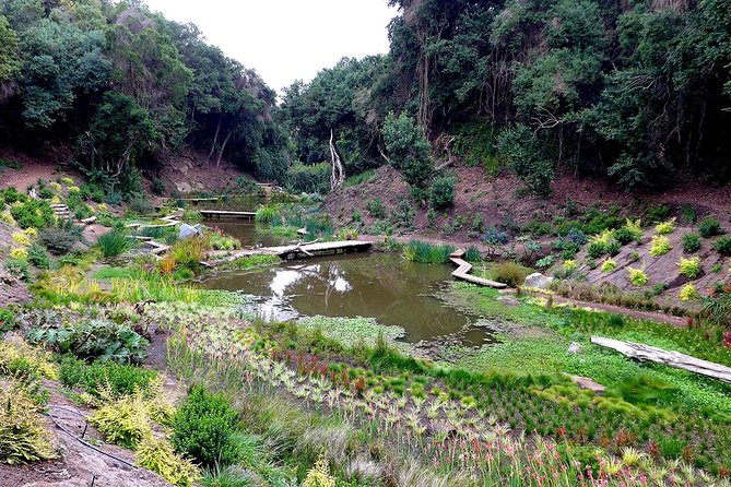 Tour to Parque Tricao + Aviario and Pomaire full day from Santiago - Inside South America’s largest aviary