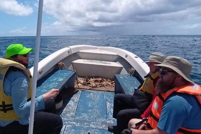 Tour to the Motus: Boat trip and snorkeling in Rapa Nui - A small boat can make the outing better