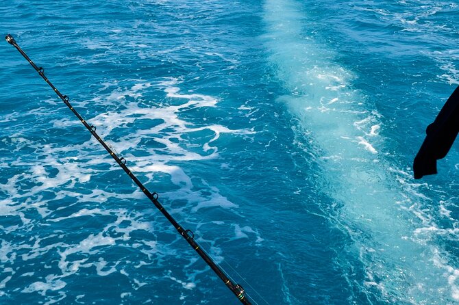 Tour to the Motus: Boat trip and snorkeling in Rapa Nui - Is $150 a fair price?