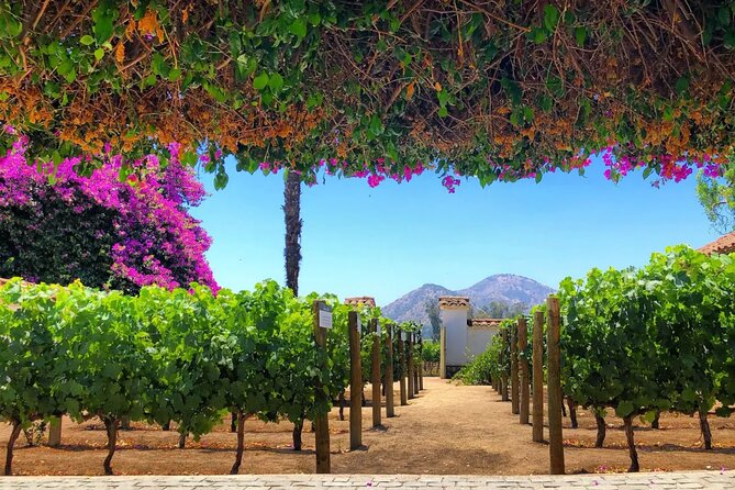 Tour Viña Santa Rita: History, Wine and Picnic Outdoors - Key Points Before You Book