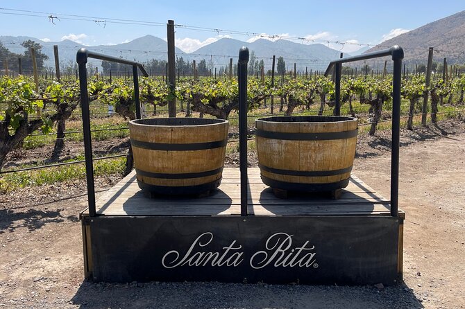 Tour Viña Santa Rita: History, Wine and Picnic Outdoors - Carmen Winery and Chile’s Carmenere Story