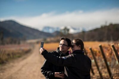 Tour Viña Santa Rita: History, Wine and Picnic Outdoors