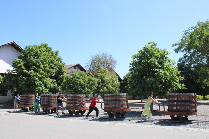 Tour Viña Santa Rita: History, Wine and Picnic Outdoors - The Andean Museum’s 3,000 Objects