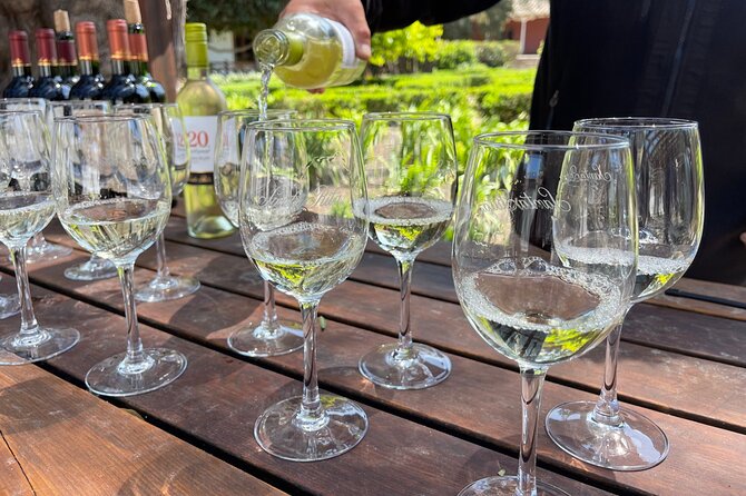 Tour Viña Santa Rita: History, Wine and Picnic Outdoors - Guides, Languages, and Group Size