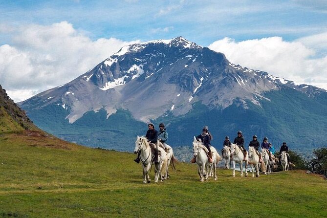Traditional Patagonian Ranch (estancia) Day Tour Puerto Natales - Why this Estancia La Península day feels different