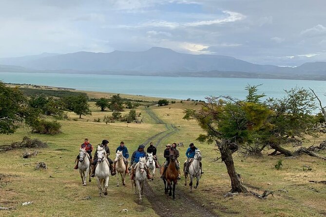 Traditional Patagonian Ranch (estancia) Day Tour Puerto Natales - The lamb lunch is a major reason to go