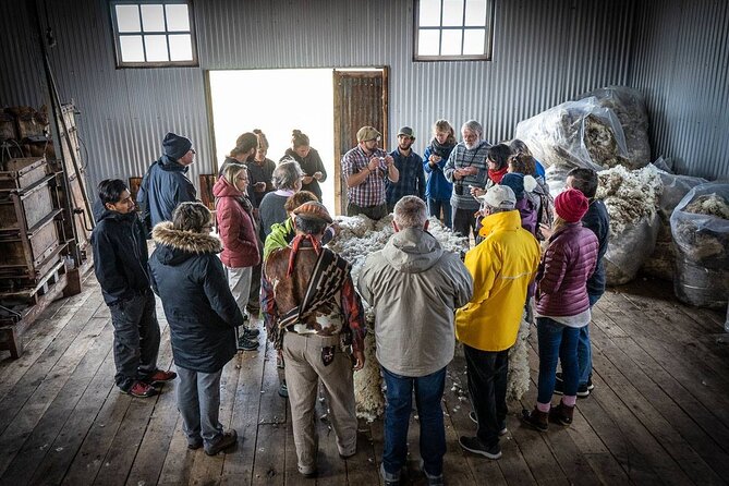 Traditional Patagonian Ranch (estancia) Day Tour Puerto Natales - A final facility tour and viewpoint