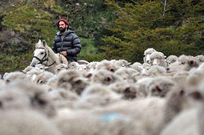 Traditional Patagonian Ranch (estancia) Day Tour Puerto Natales - Is $320 a fair price?