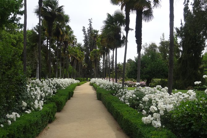 Traditional Undurraga tour - Why Viña Undurraga Makes a Good Half-Day Trip