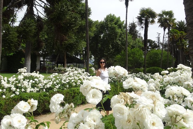 Traditional Undurraga tour - Walking Through Gardens Before the Wine