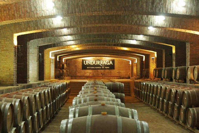 Traditional Undurraga tour - Is the $120 Price Fair?