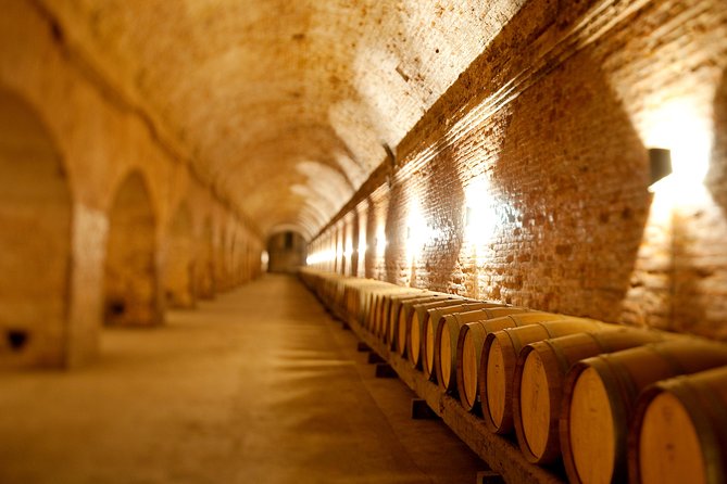 Traditional Wine Tour in Viña Cousiño Macul Official English - Key points at a glance