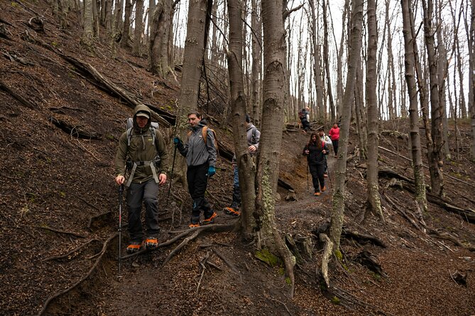 Trekking Base Torres sin almuerzo - Who should book this hike?