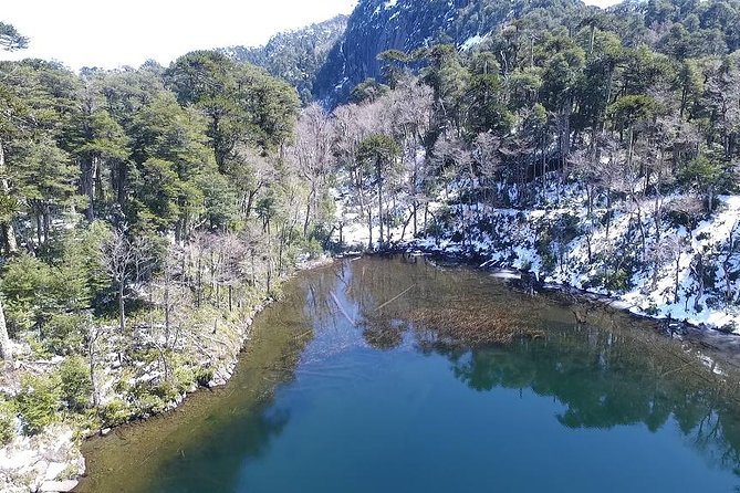 Trekking Huerquehue - Quick Points Before You Book