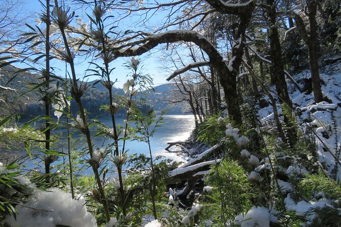 Trekking Huerquehue - How Hard Is the Medium Route?