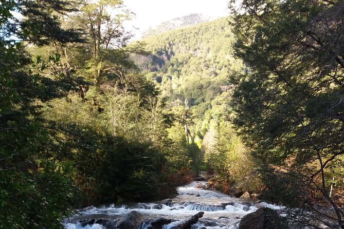 Trekking Huerquehue - What the $140 Price Covers