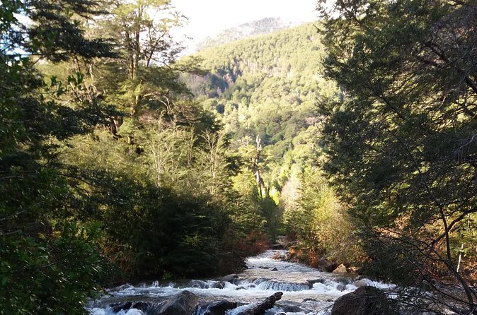 Trekking Huerquehue - Timing, Weather, and Cancellation