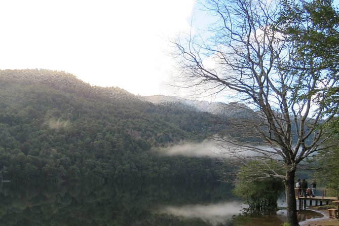 Trekking Huerquehue - Walking Through Araucaria Country