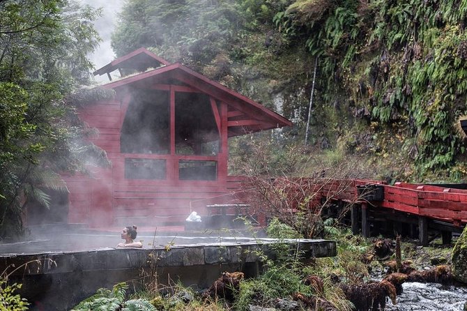 Trekking Mirador el volcano + Geometric hot springs - From Pucón to the southern side of Villarrica